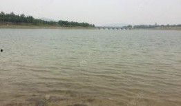 东风水库爆料视频最新,揭秘水库神秘面纱背后的故事