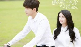 微微一笑很倾在线观看,甜蜜校园恋曲在线放送