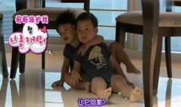 娱乐爆料八卦全集,爆料八卦全集大起底