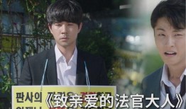 致亲爱的法官大人在线观看,在线观看，揭开法律与人性的深刻对决