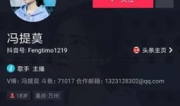 大主播名字爆料大全最新,揭秘娱乐圈幕后风云