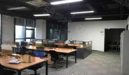 家具捡漏爆料视频下载,视频爆料中的宝藏瞬间