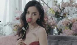 北京胖姐爆料新闻,最新热点事件深度解析