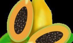 吃瓜爆料素材视频大全下载,素材视频大全下载攻略