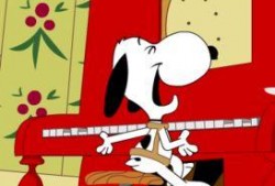 搞笑爆料小故事大全视频,搞笑爆料小故事视频集锦