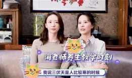 海清爆料荒唐行径视频,真相令人震惊