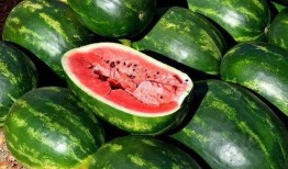 香港网红吃瓜图片大全,趣味瞬间大盘点