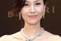 刘銮鸿爆料李嘉欣视频在线观看,揭秘豪门恩怨背后的真相