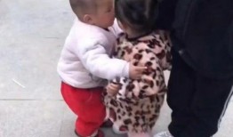 热门爆料搞笑视频,笑到肚子疼！