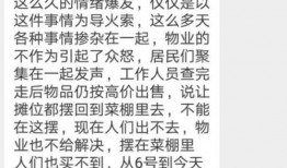 藁城爆料最新,最新动态一网打尽，揭秘城市热点事件