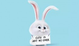 爱宠大机密1在线观看,欢乐逗趣在线观看！