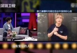 刘维爆料录音视频播放大全,娱乐圈背后的真相与争议