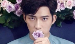 今日吃瓜 明星黑料 反差网红,明星黑料揭秘，反差网红背后的真相