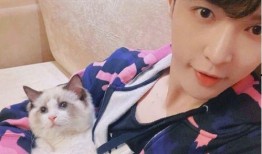 张艺兴肖战爆料最新消息,娱乐圈风云再起，幕后真相曝光