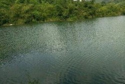 东风水库爆料视频最新,揭秘水库神秘面纱背后的故事