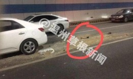 南沙车祸爆料新闻最新,悲剧现场细节披露，事故原因调查深入