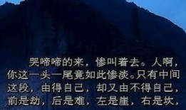 南行记在线观看