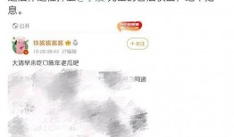 娱乐吃瓜酱以前是谁的账号,揭秘其前身账号背后的故事