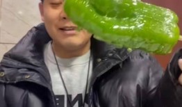 网红韩婧格吃瓜视频下载,揭秘娱乐圈幕后真相