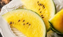 香港网红吃瓜图片大全,趣味瞬间大盘点