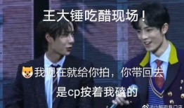 爱爆料的王大锤视频,娱乐圈幕后那些事儿