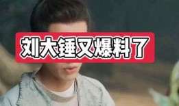 刘大锤最新爆料的谁,娱乐圈惊天大事件幕后真相