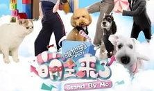 萌主来了在线观看