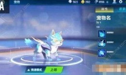 qq飞车手游最新消息爆料宠物,萌宠集结！QQ飞车手游全新宠物系统曝光