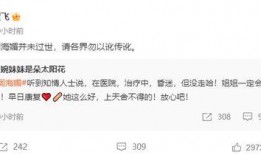 爆料视频 报道怎么写,深度解析事件背后真相