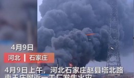 洛阳传媒公司爆料事件视频,揭秘背后真相