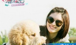 萌主来了在线观看