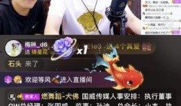 丰哥生活爆料视频大全,揭秘日常生活中的趣味瞬间