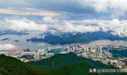 深圳盐田爆料案件最新,真相渐浮水面，警方全力侦破