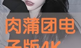 肉薄团在线观看,在线观看，揭秘神秘肉薄团背后的故事