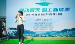 合肥爆料团最新,城市热点事件深度剖析