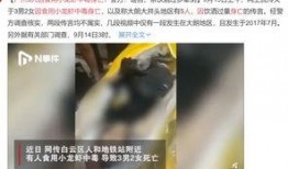 爆料假酒制作视频在线观看,在线观看惊悚视频，揭开酒水市场的黑暗面