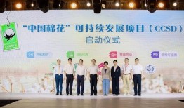 石河子新生爆料案件最新进展,疑点重重，真相渐明