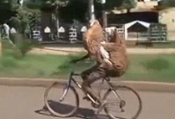 被绑架爆料搞笑视频,笑料百出！揭秘被绑架者的搞笑爆料视频