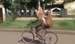 被绑架爆料搞笑视频,笑料百出！揭秘被绑架者的搞笑爆料视频