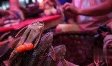 食人鱼在线观看,在线揭秘致命水域的生存法则