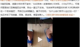 嘉宾爆料许雅钧视频,揭秘背后惊人真相