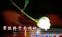 花心野玫瑰在线观看,激情燃烧的都市爱情传奇