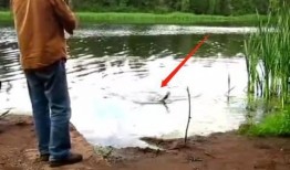 钓鱼爆料视频最新消息新闻,揭秘神秘水域奇遇记