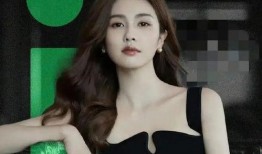 娱乐圈爆料张文文,张文文爆料背后真相，揭秘明星圈层不为人知的一面