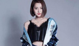 娱乐大爆料刘畅,揭秘明星幕后故事