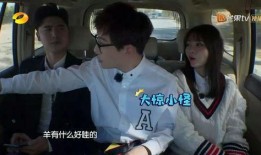 杨迪飞行嘉宾爆料视频,精彩爆料引网友热议