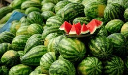 全网吃瓜网红有哪些名字,揭秘各路“瓜农”的传奇故事