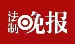 新闻哪里可以爆料,揭秘新闻爆料背后的真相