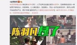 九五女友爆料视频在线播放,揭秘娱乐圈不为人知的秘密
