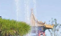 周口森林公园爆料视频最新,探秘神秘自然奇观，揭秘生态旅游新热点！